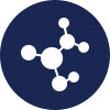 Icon 1