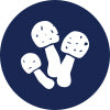 Icon 7