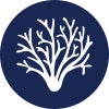 Icon 4