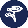 Icon 5