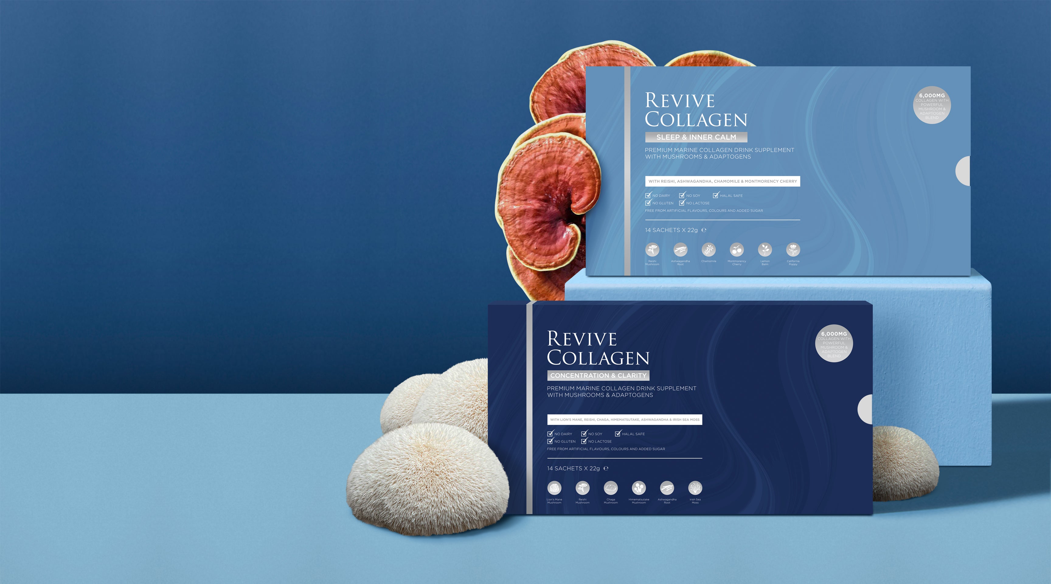 Revive Collagen Nootropics Sachet with Mushrooms
