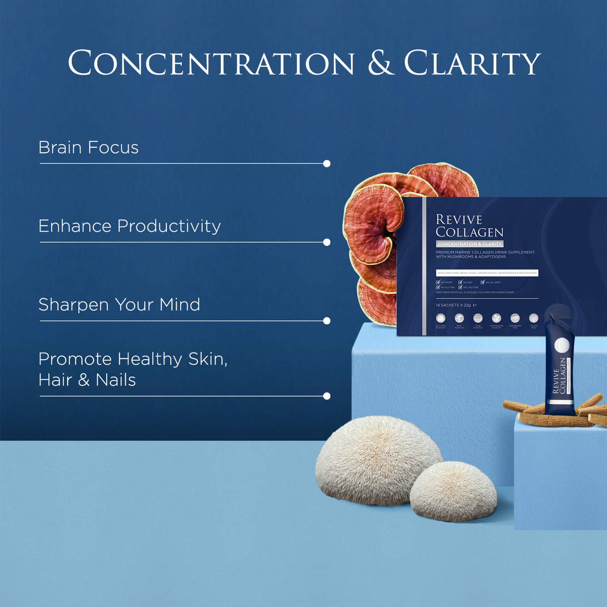 Limited Edition Beauty Crackers - Concentration & Clarity