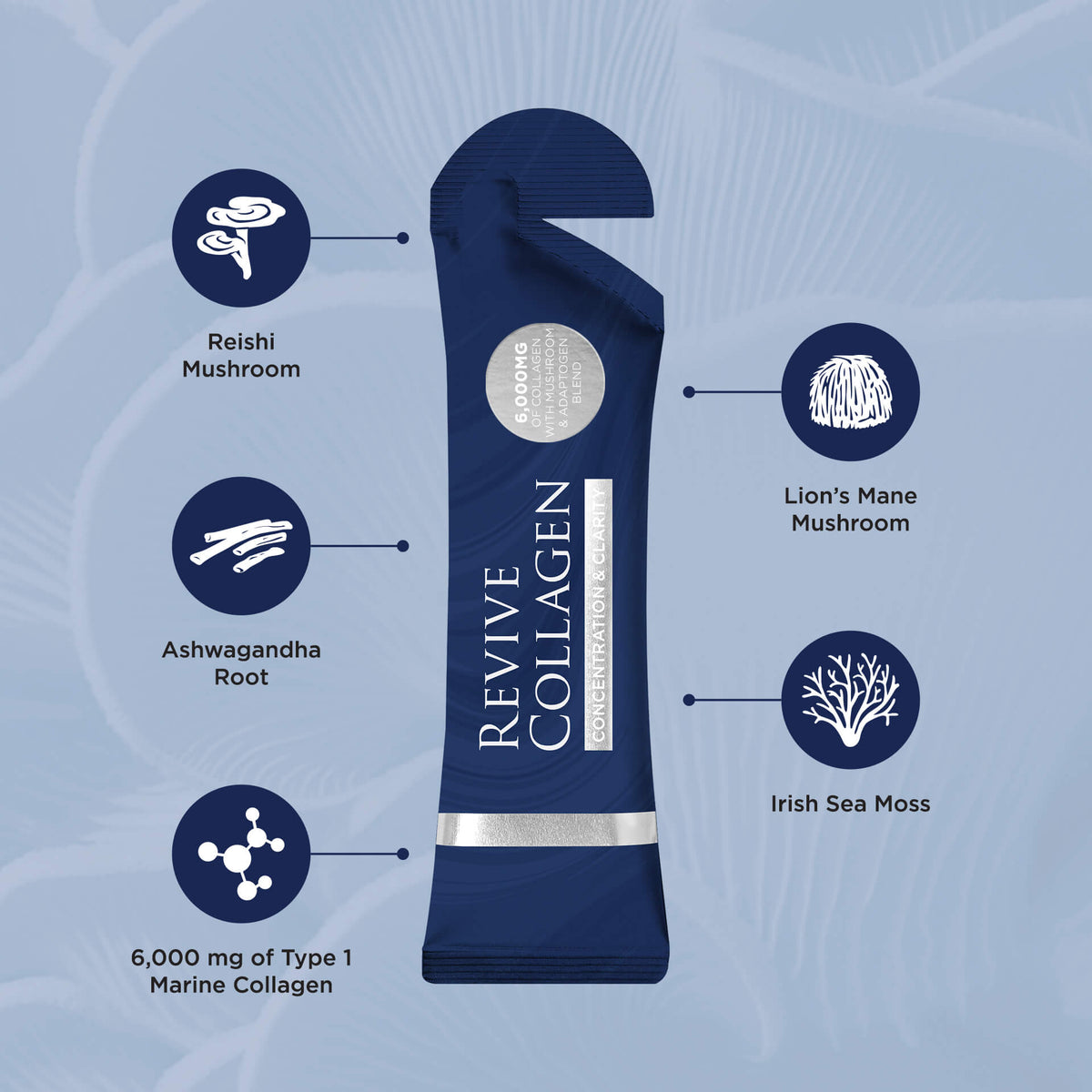Limited Edition Beauty Crackers - Concentration & Clarity