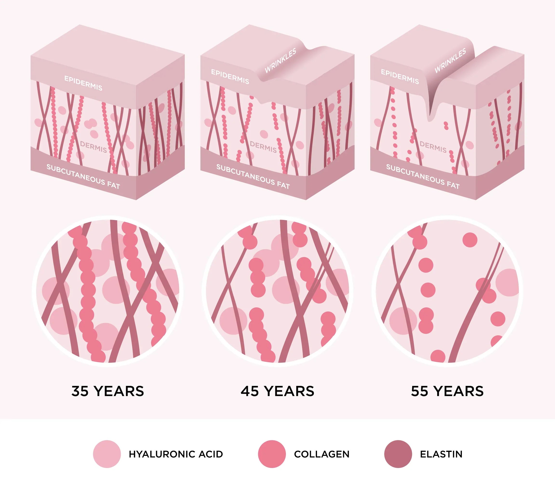 Our Skin As We Age